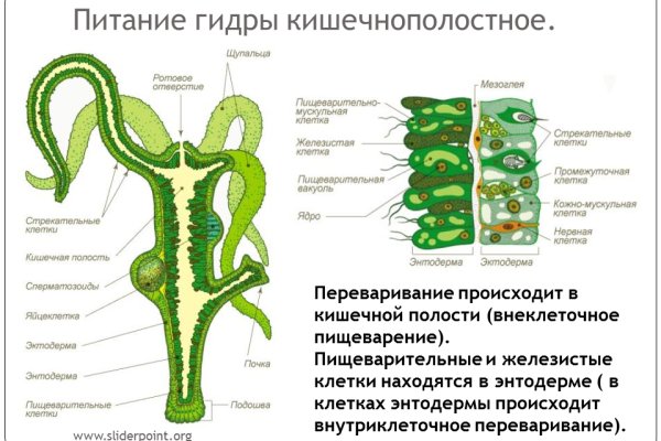 Купон кракен даркнет